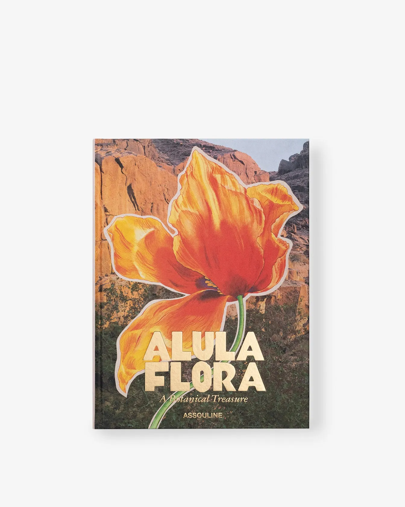 AlUla Flora Assouline