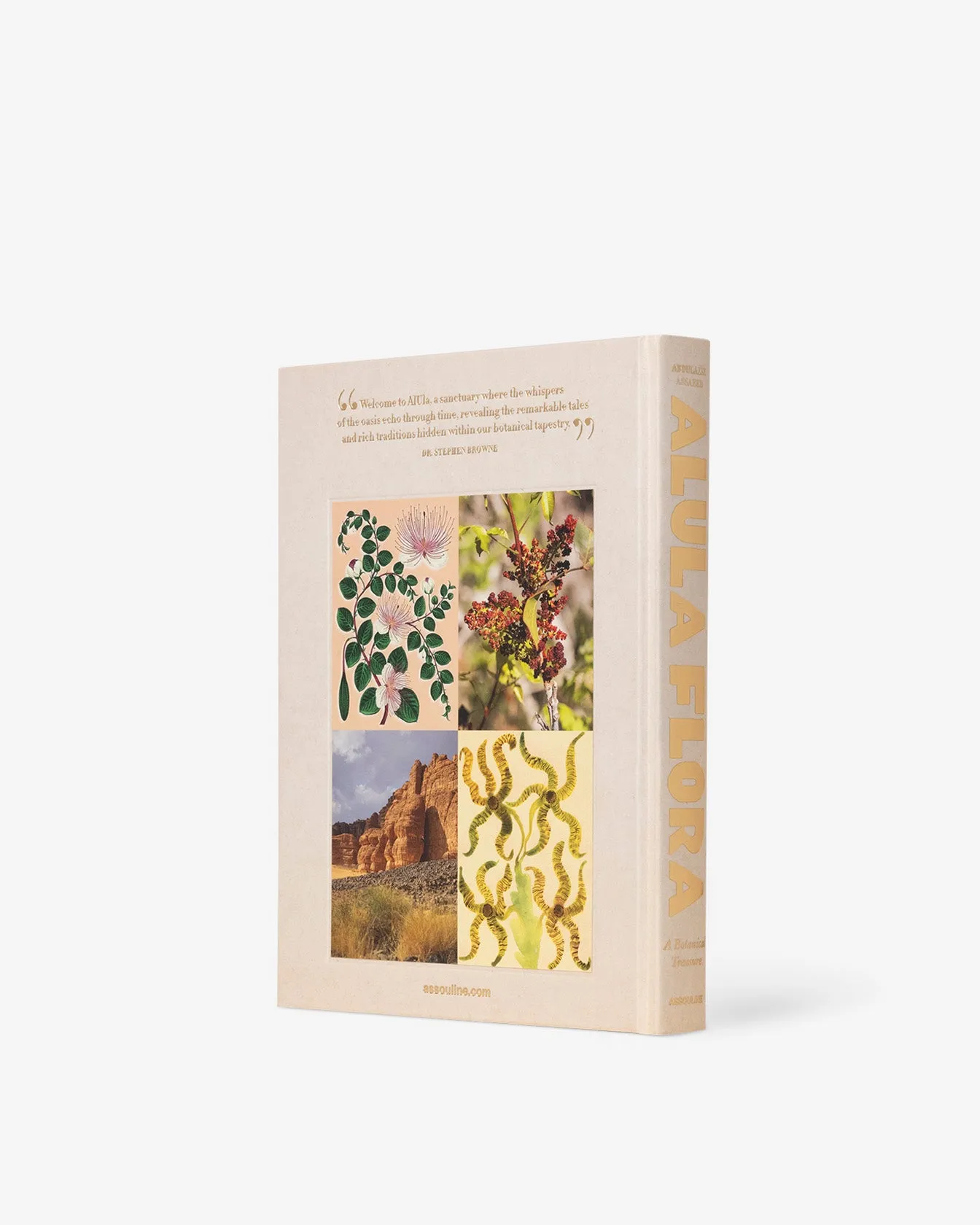 AlUla Flora Assouline