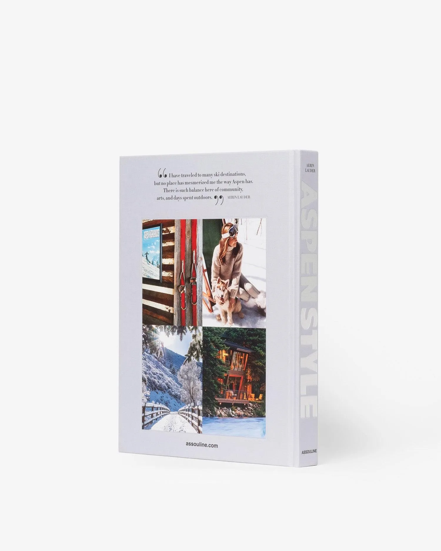 Aspen Style Assouline