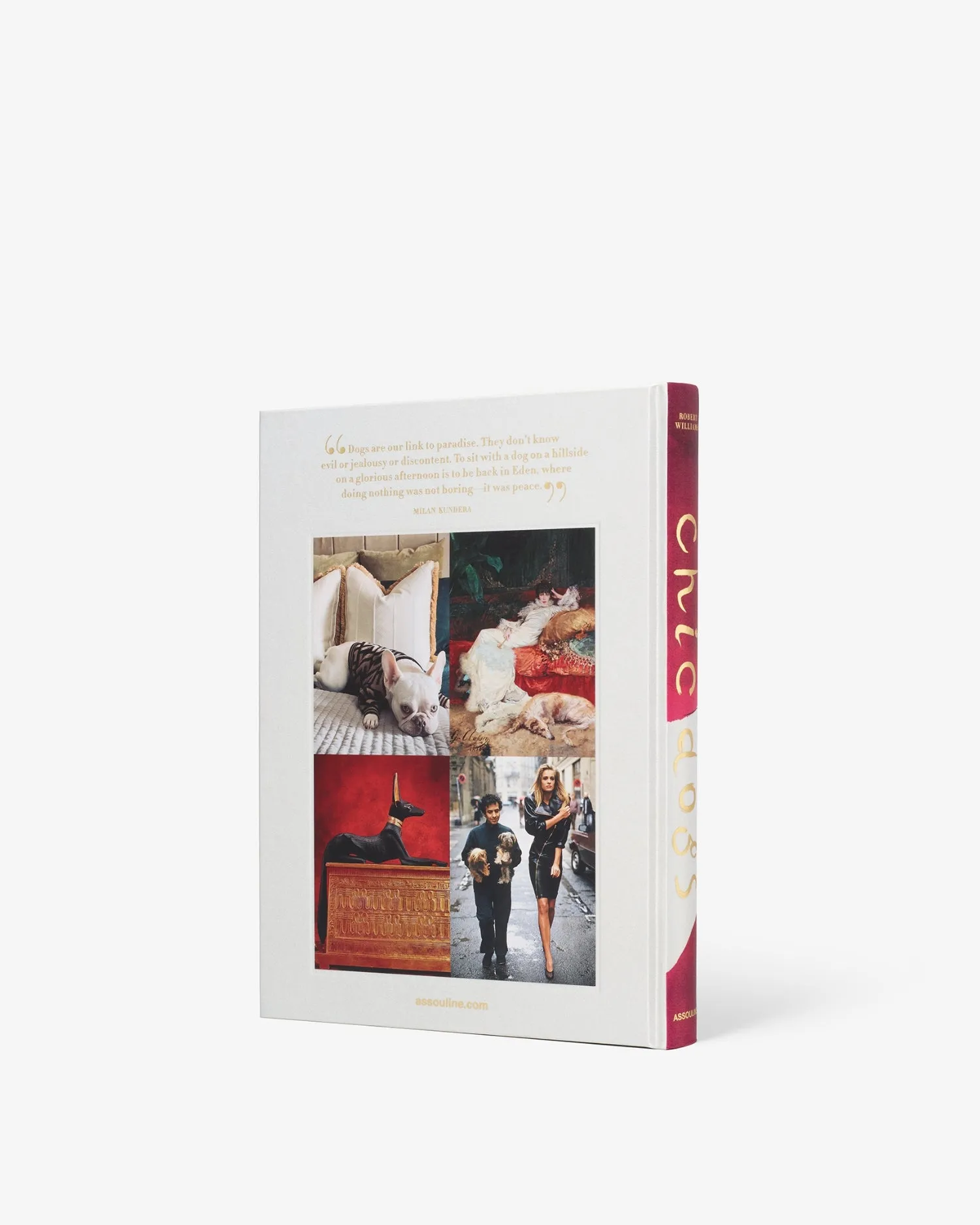 Chic Dogs Assouline