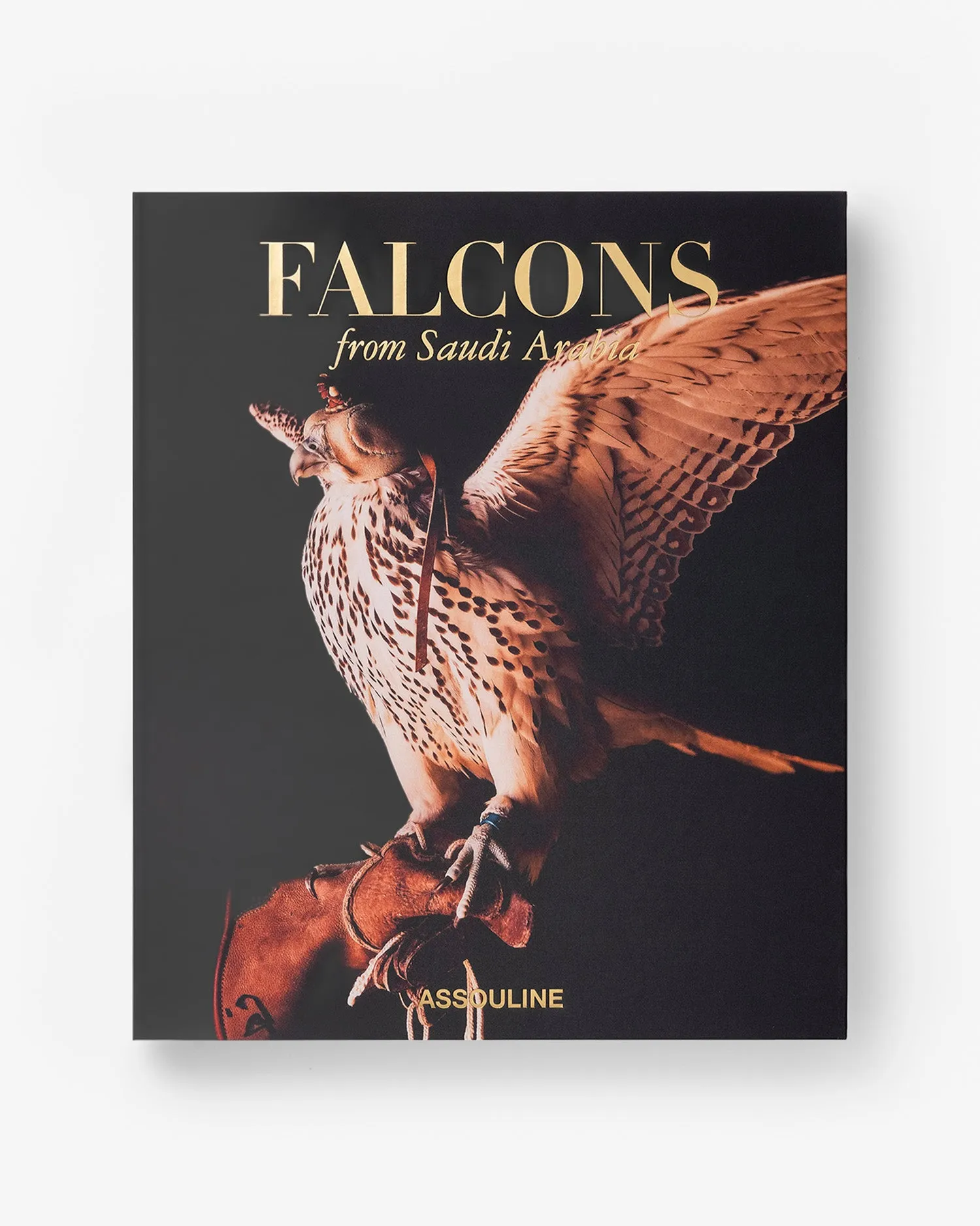 Falcons from Saudi Arabia Assouline