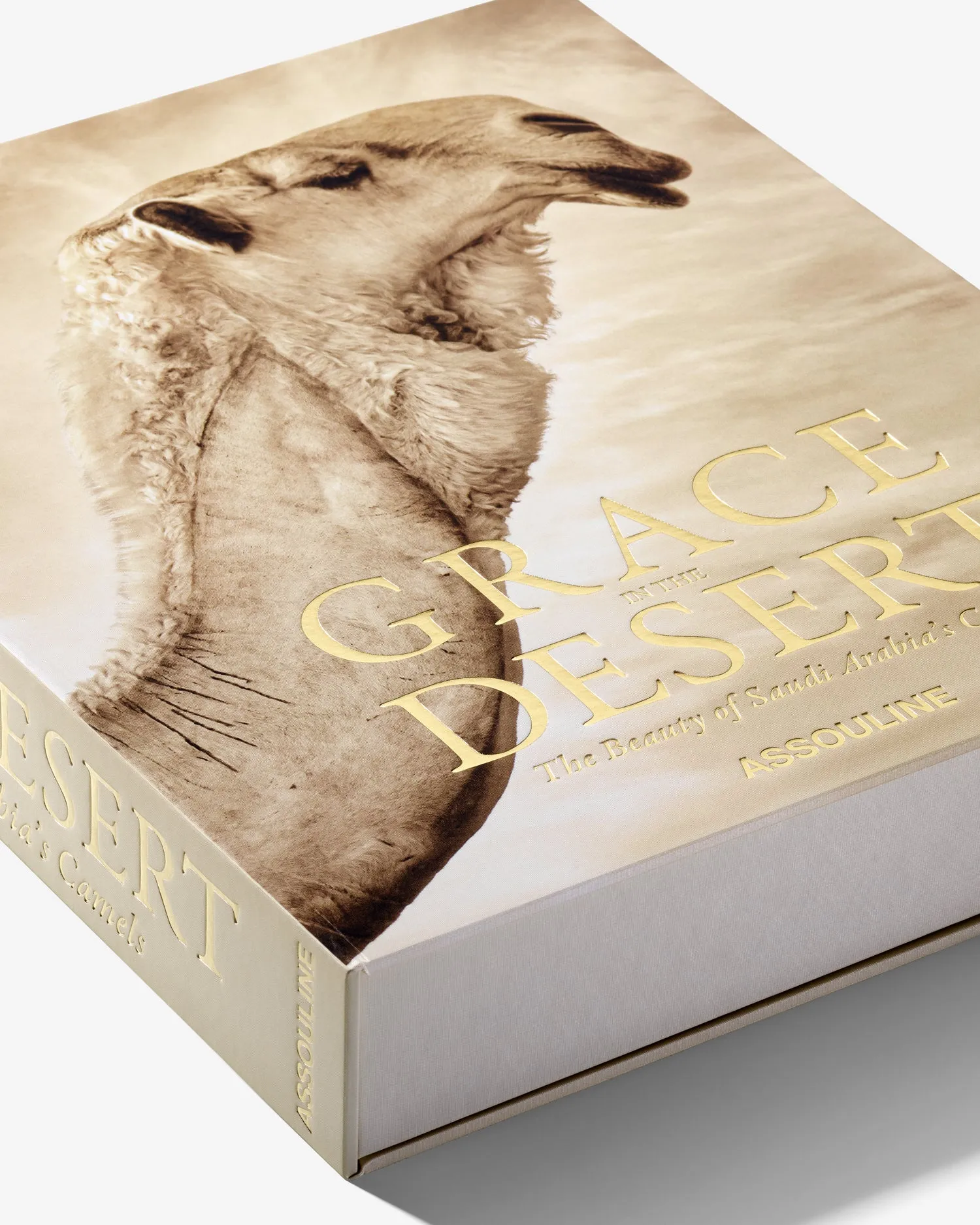 Grace in the Desert: The Beauty of Saudi Arabia's Camels Assouline