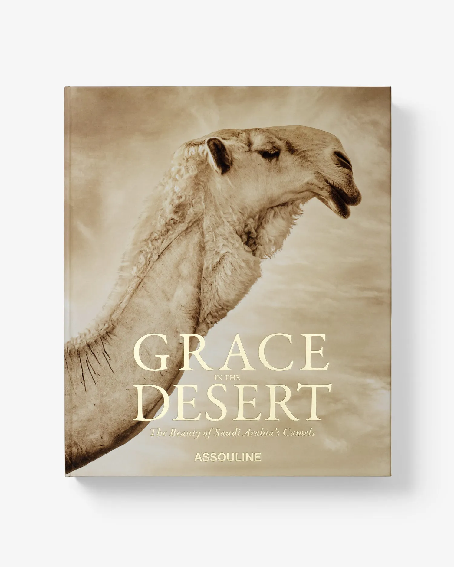 Grace in the Desert: The Beauty of Saudi Arabia's Camels Assouline