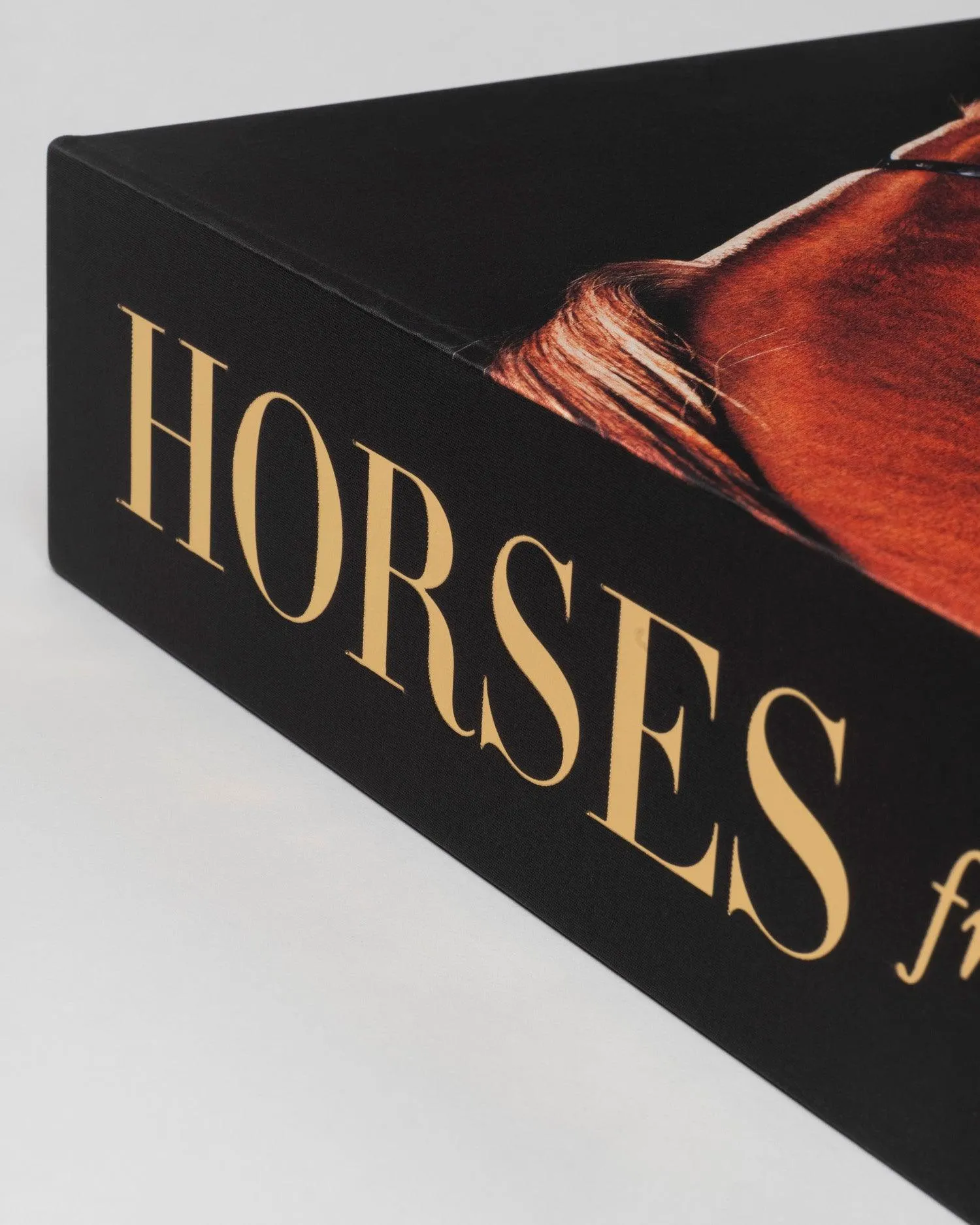 Horses from Saudi Arabia Assouline