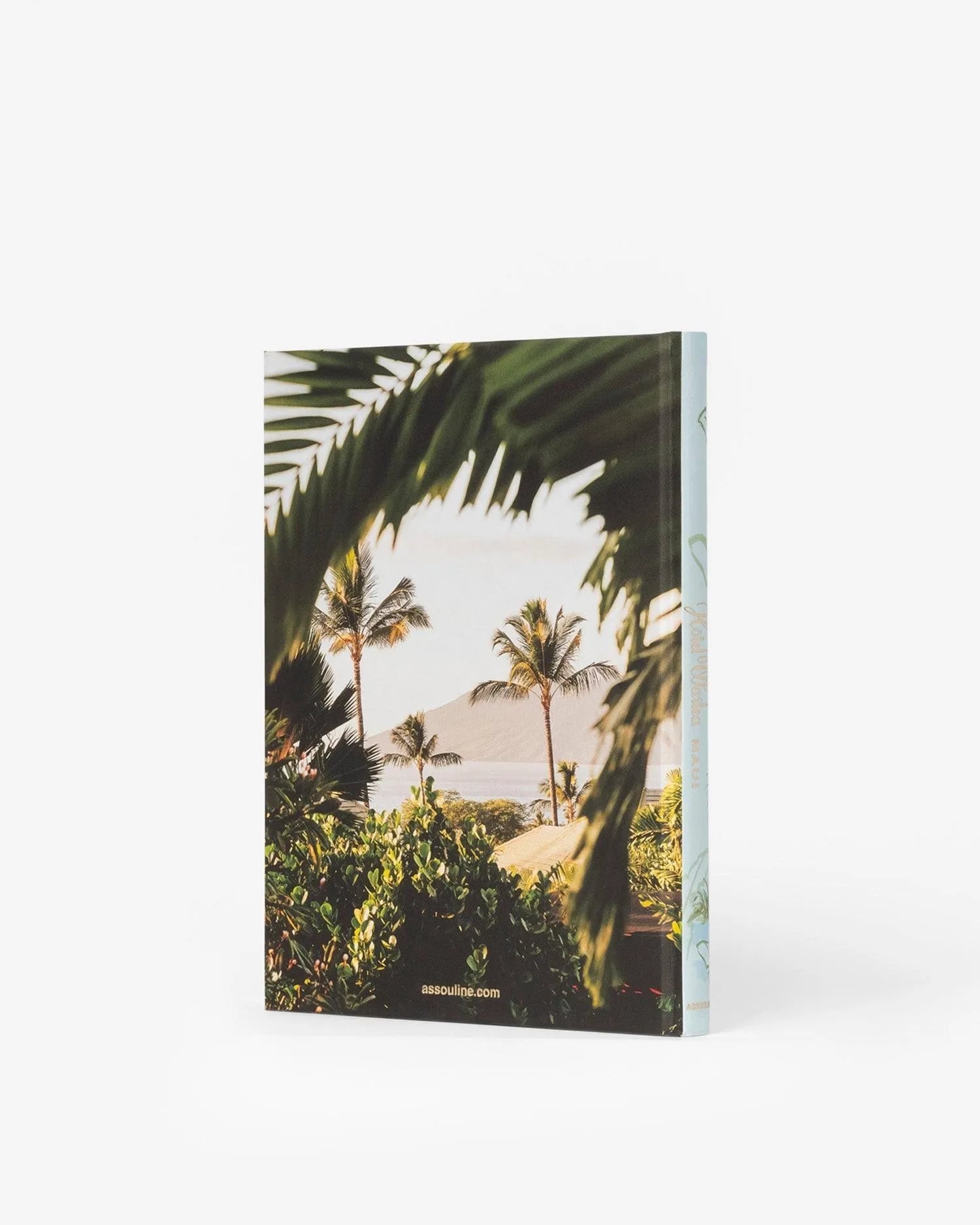 Hotel Wailea Assouline