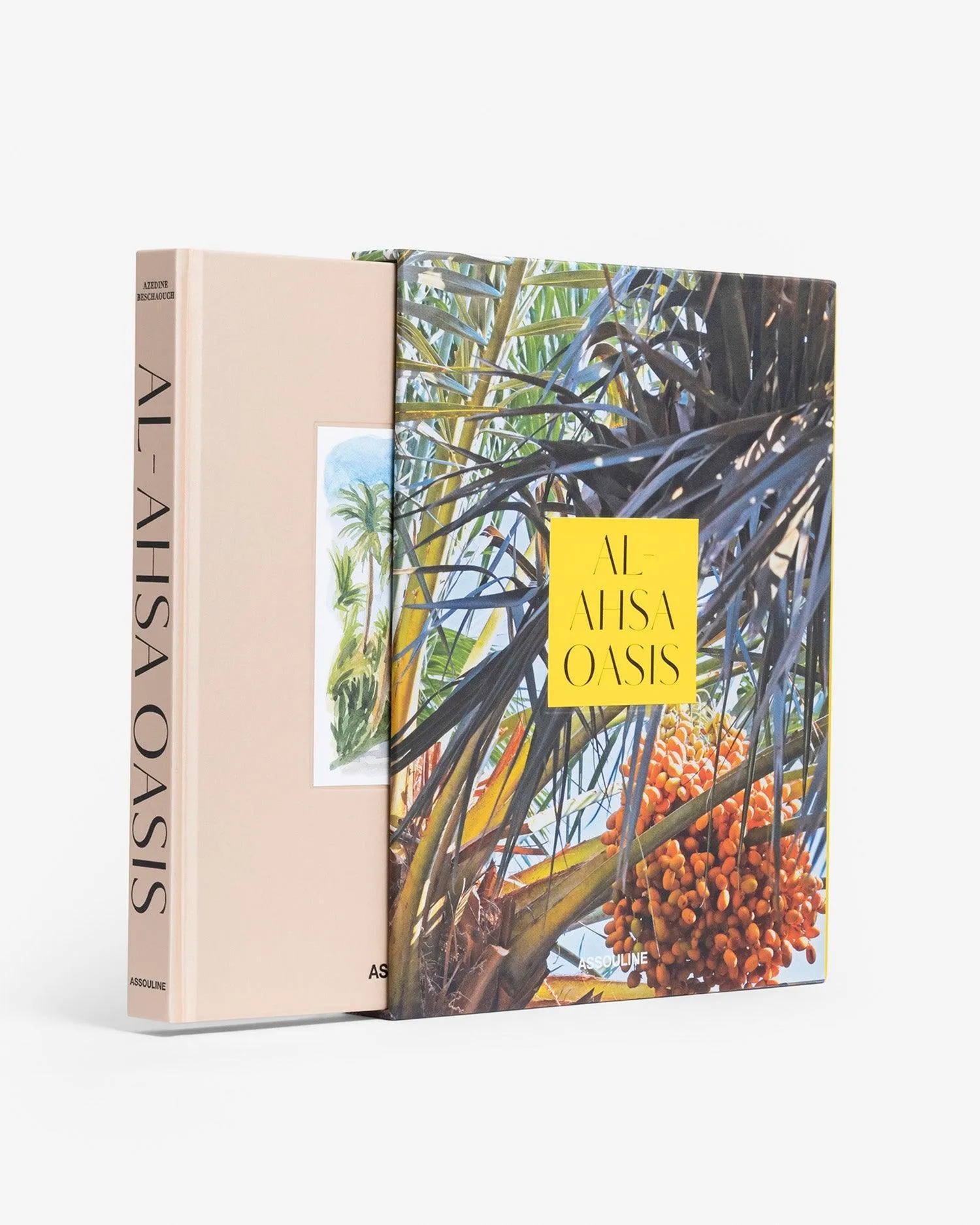 Saudi Arabia: Al-Ahsa Oasis Assouline