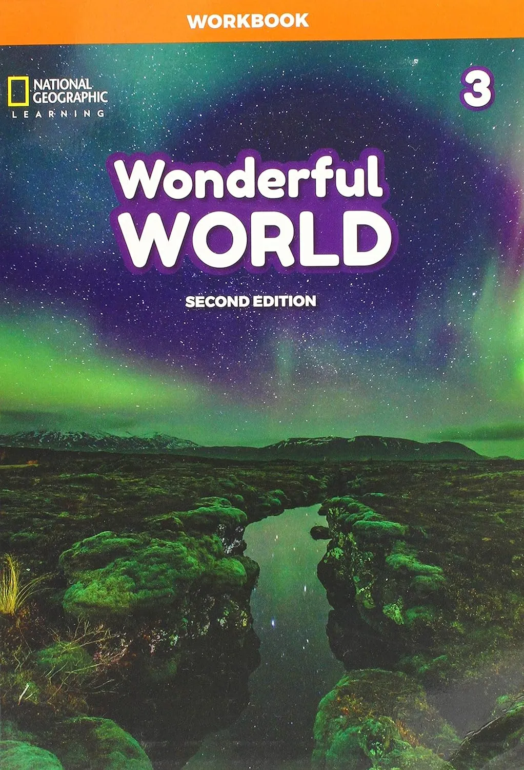 Wonderful World 3: Workbook